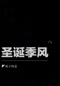 圣诞季高级唇釉